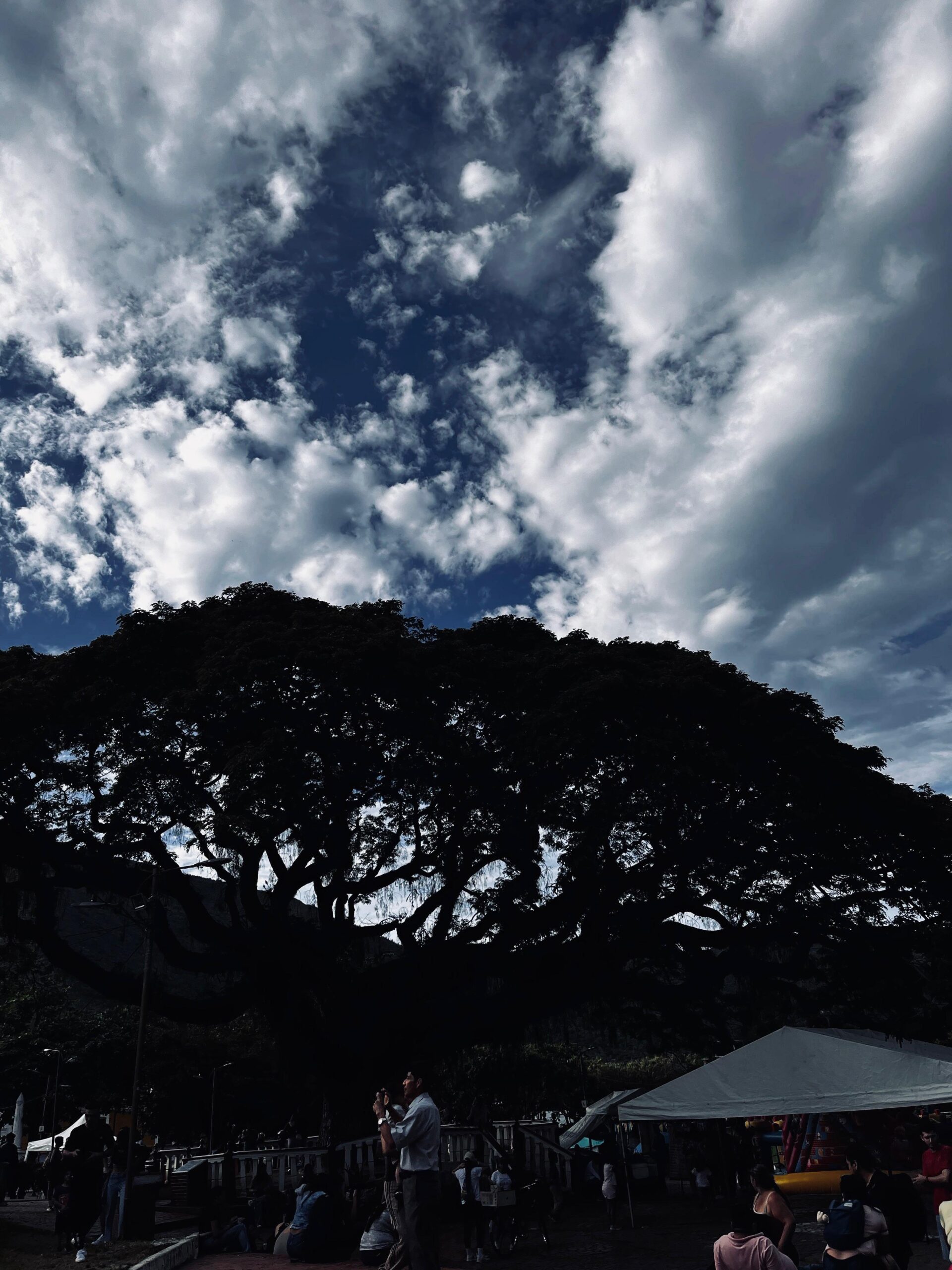 whatsapp image 2025 12 14 at 2.06.38 am